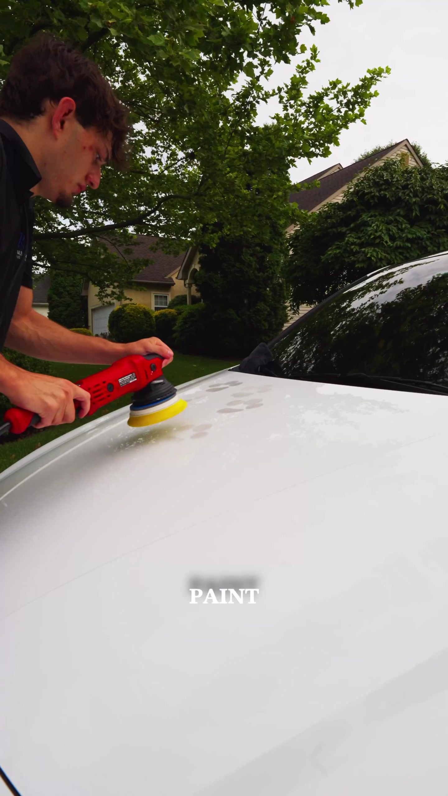 Wallace Mobile Detailing polishing white vehicle paint